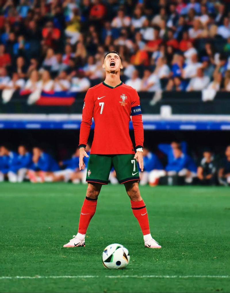 苏提供了可 苏提供了可