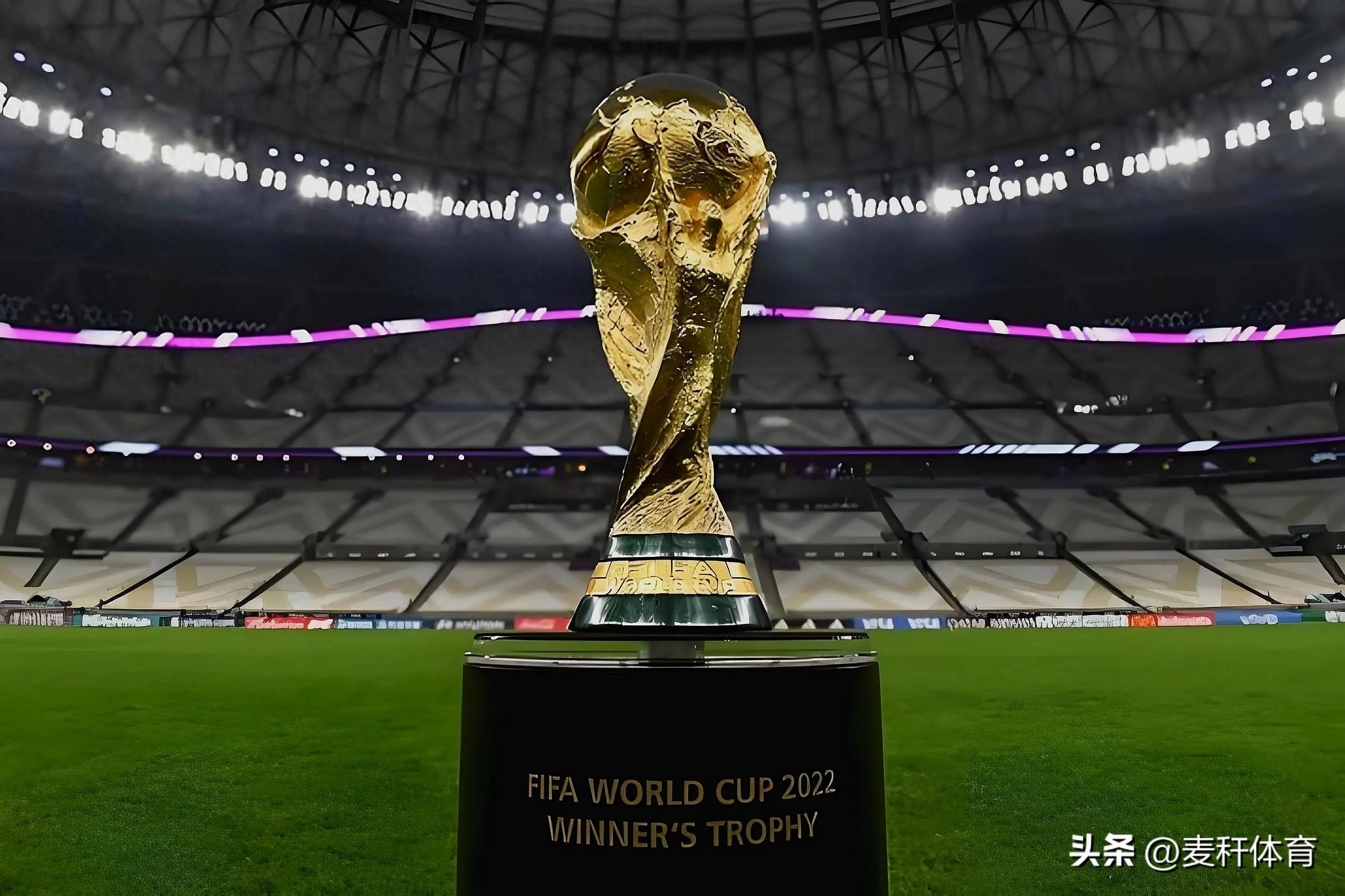 人的职业规 人的职业规