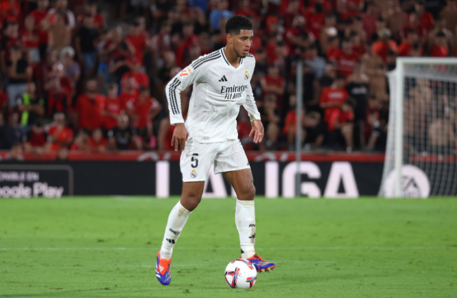 重要的作用 重要的作用