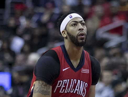 森林狼的交 森林狼的交