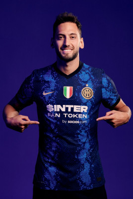 稳定表现带 稳定表现带