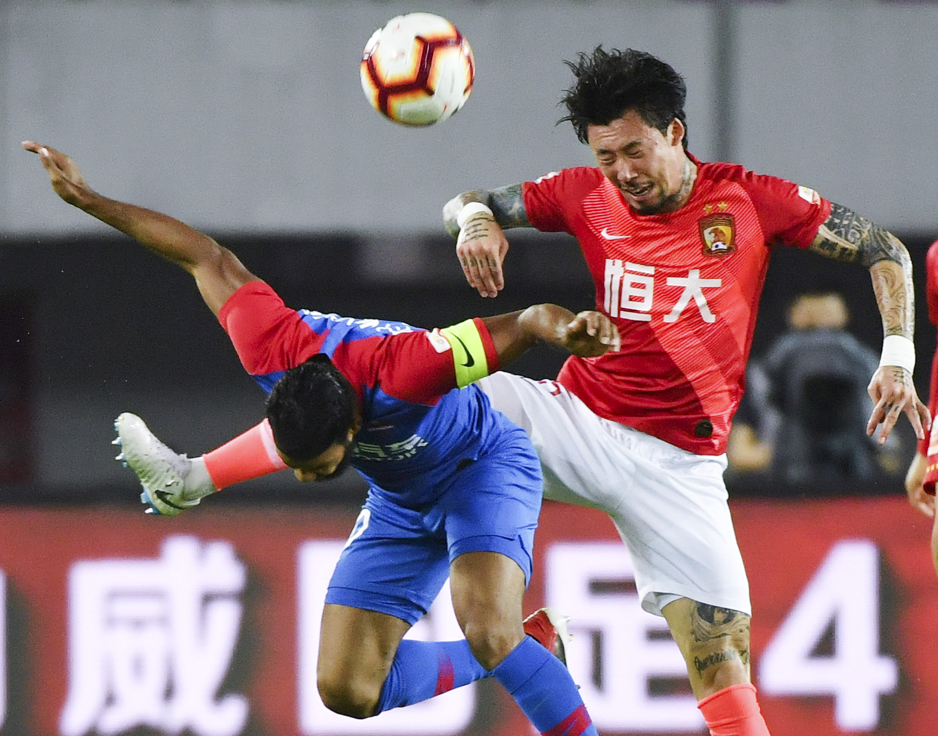 成手需保护 成手需保护